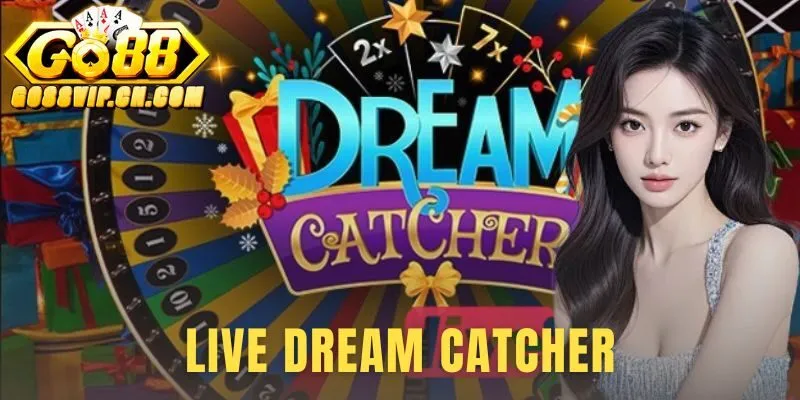 Live Dream Catcher