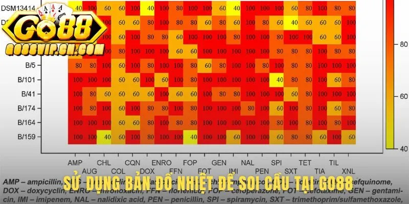 Sử dụng Frequency Heatmap qua 4 bước soi cầu thực chiến